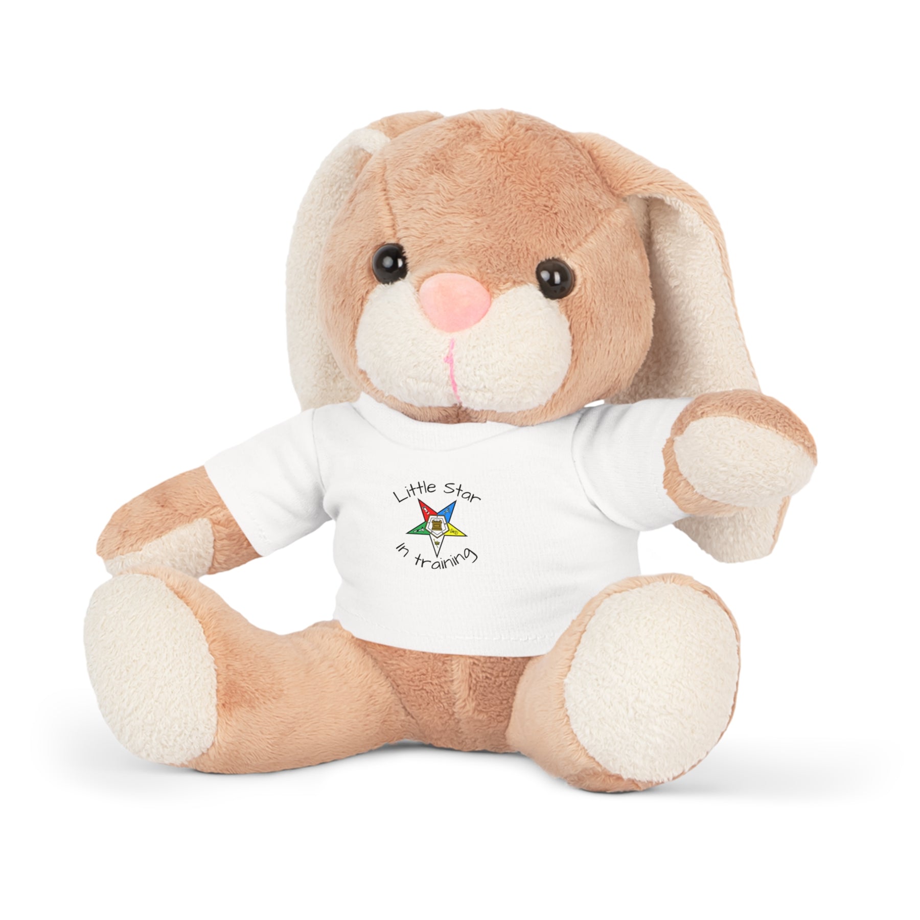 OES Teddy Bear - Little Star In Training 4 Plushies - Bricks Masons