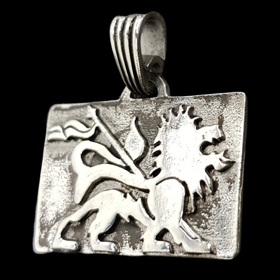 Rastafari Lion Judah Pendant In Silver 3 X 3 Cm 9 Gr Art 502 - Bricks Masons