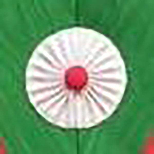 SMSA Package - Bricks Masons